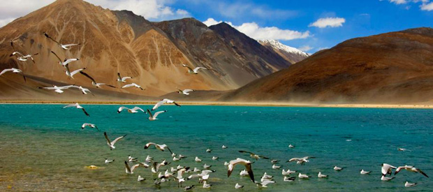 Let’s Go Ladakh Let’s Go Ladakh
