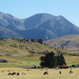 Discover Rural New Zealand 2023
